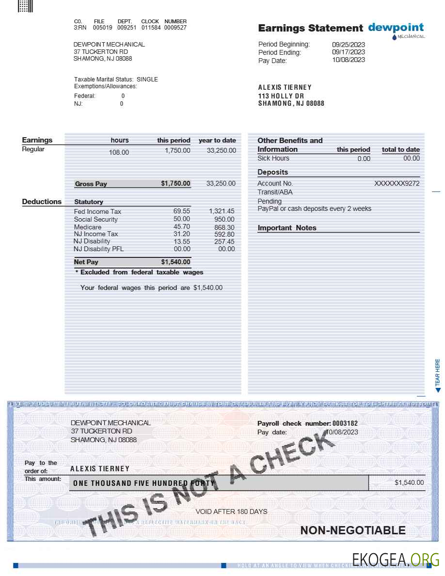 Modèle de déclaration de résultats DEWPOINT MECHANICAL aux formats Word et PDF.pdf, 1